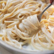 Fettuccine alfredo being twirled with a fork.