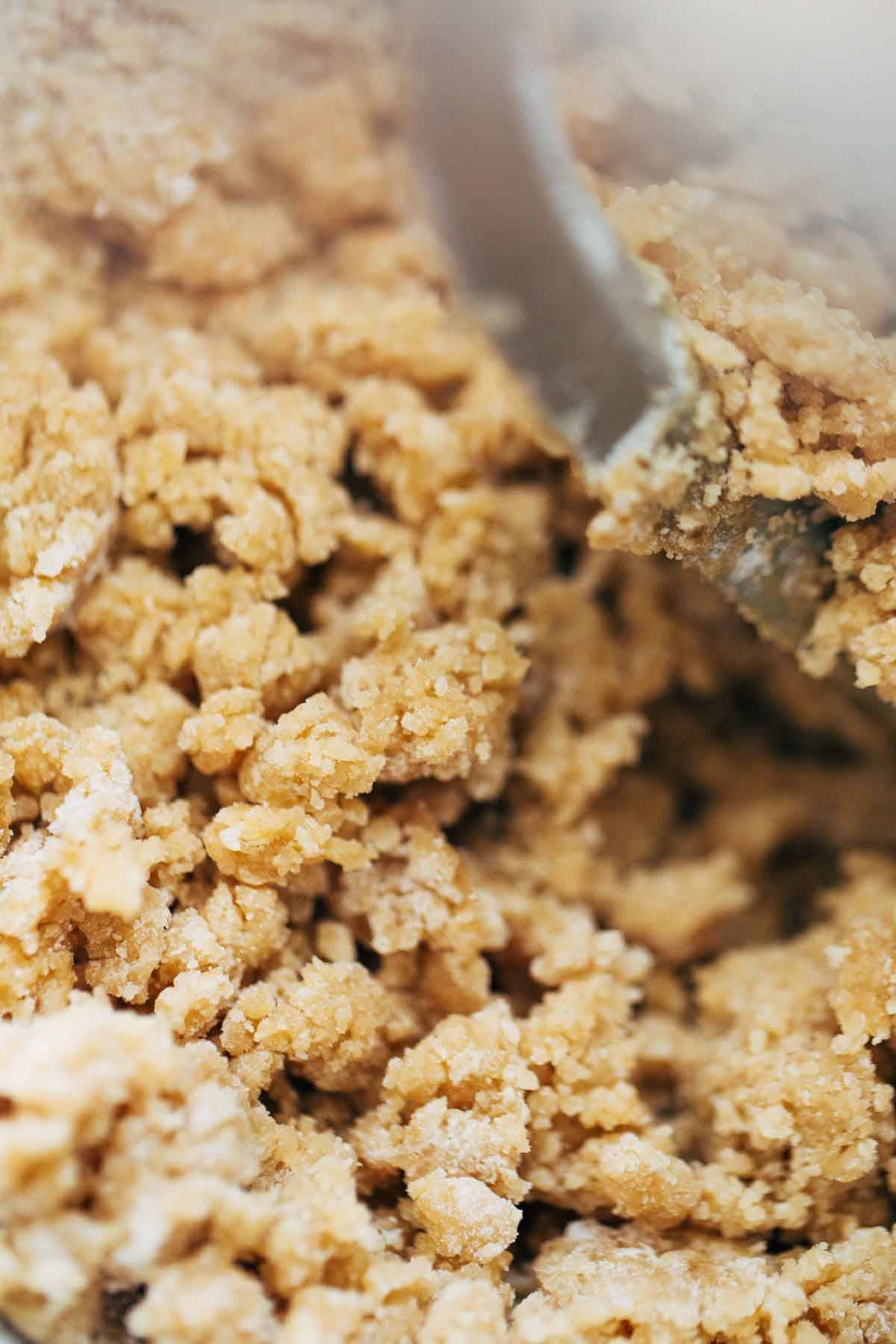 Dough for Soft Chocolate Chip Cookies