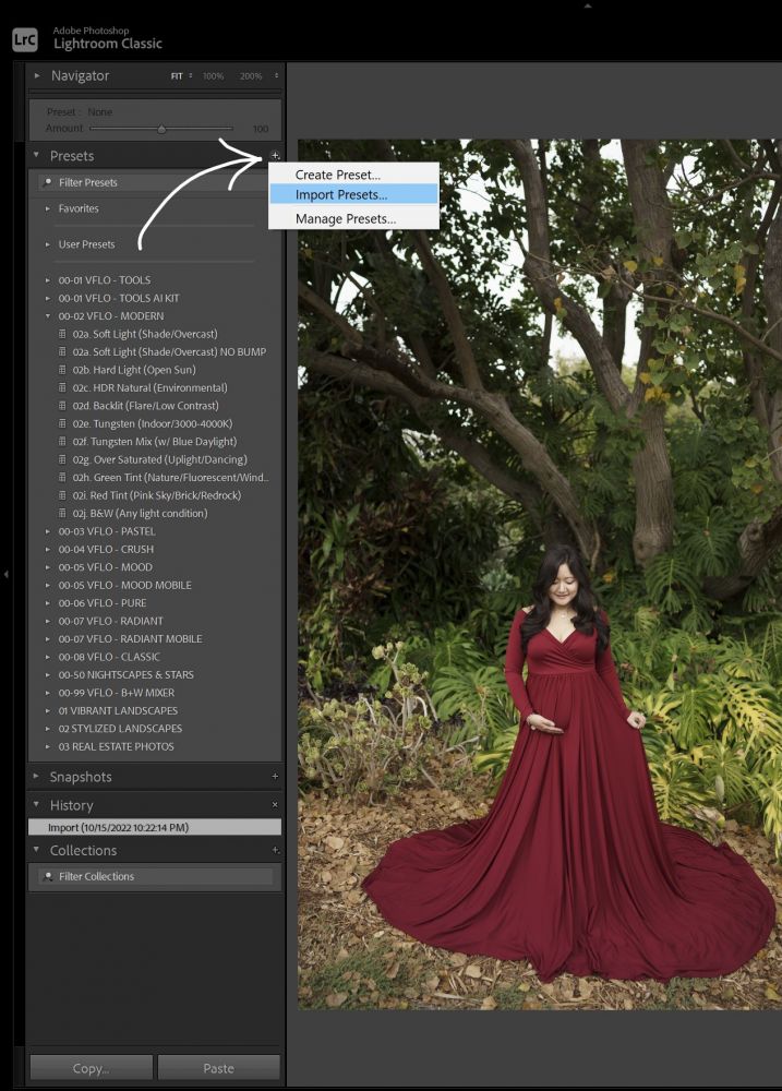 how to import lightroom presets