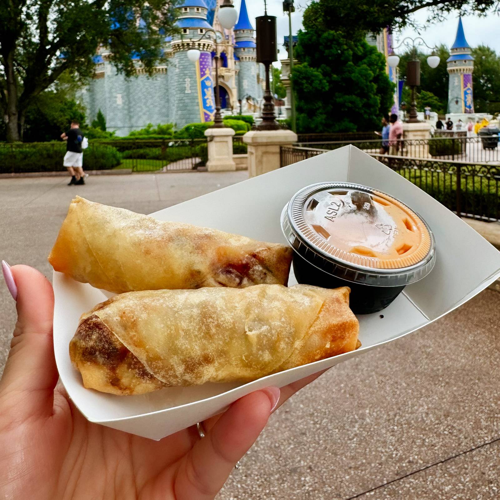 Cheeseburger egg roll at Magic Kingdom.