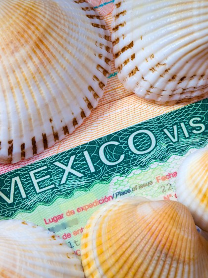 Mexican Visa inside a foreign passport