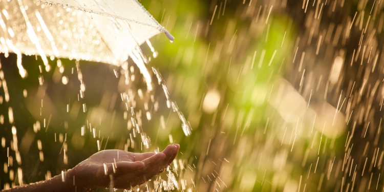 Enjoying the rainy season