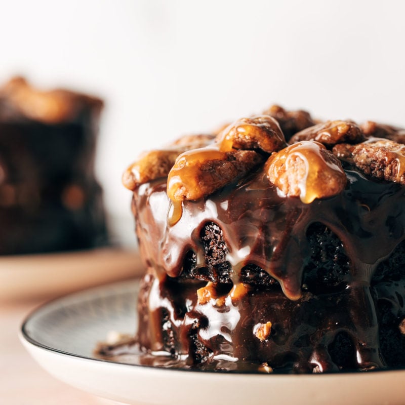 Turtle cake on a plate